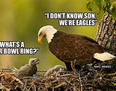 Image result for Eagles Loss Meme