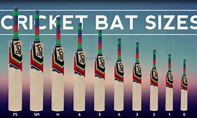 Image result for Cricket Bat Types