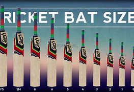 Image result for 5 Cricket Bats