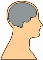 Image result for Head with Brain Cartoon
