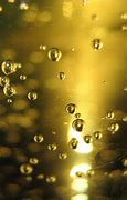 Image result for Bubbly Champagne Bubbles