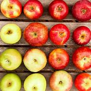 Image result for Printable Apple Variety Chart