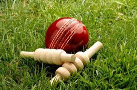 Image result for Cricket Wicket Pictures PDF