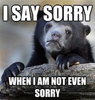 Image result for Sorry Not a Guy Meme