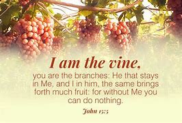 Image result for Vine and Branches Parable