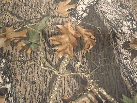 Image result for Tree Pod Camo