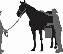 Image result for Horse Grooming Clip Art