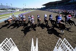 Image result for Crowded Breeders' Cup