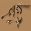 Image result for Native American Wolf Drawings