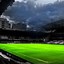 Image result for Football Pitch Surface