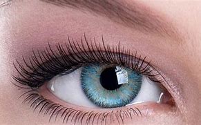 Image result for Prescribed Color Contacts for Astigmatism