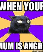 Image result for Wide Eye Angry Cat Meme