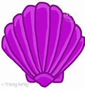 Image result for Icelandic Scallop Shells