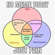 Image result for Unicorn in Pain Meme