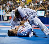 Image result for Most Effective Martial Arts