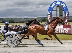 Image result for NZ Harness Racing
