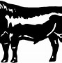 Image result for Angus Cow Clip Art