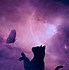 Image result for Aesthetic Cat PFP Discord Cute