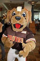 Image result for Chomps the Dog Cleveland Browns