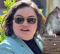 Image result for Rats of New York