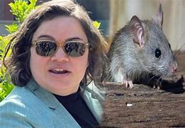 Image result for New York Rat Hole