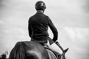 Image result for Horse Jumping Competition