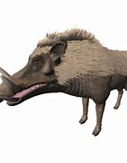 Image result for Biggest Warthog
