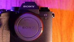 Image result for Sony Alpha 1 Cable Protector