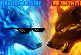 Image result for Wolf Fire Meme