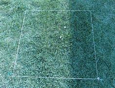 Image result for What Is Square Meter