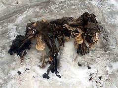 Image result for WW1 Soldiers Found Frozen Glacier