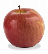 Image result for Fuji Apple