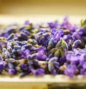 Image result for Dried Lavender Flowers