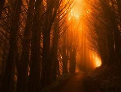 Image result for Memes Beauty Nature