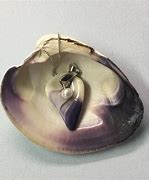 Image result for Quahog Clam Shell Necklace