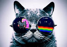 Image result for Galaxy Cat Wearing Glasses