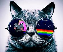 Image result for Cool Cat with Galaxy Glasses