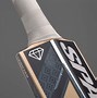 Image result for Cricket Players Bat