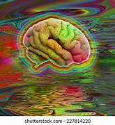 Image result for Brain Expanding Meme Psychedelics
