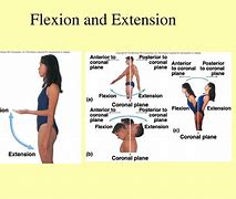 Image result for Flexion and Extension