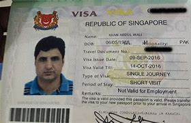 Image result for Singapore E Visa