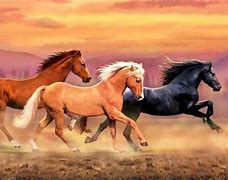 Image result for Wild Horse Desktop Backgrounds