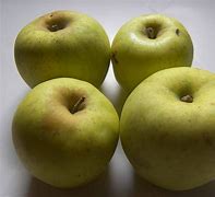 Image result for Grimes Golden Apple