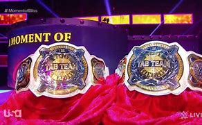 Image result for WWE USA Championship Belt