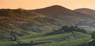 Image result for Montevertine Toscana