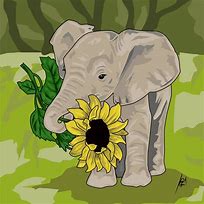 Image result for Elephant and Sunflower Pic