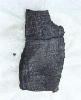 Image result for Scrolls of Herculaneum