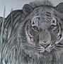 Image result for Camouflage Drawing