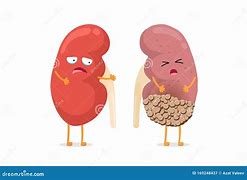 Image result for Kidney Tablet Cartoon