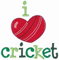 Image result for Cricket Machine Embroidery Designs